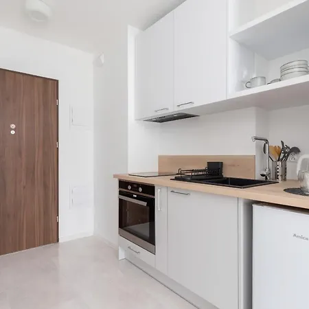 Elegant Pet-friendly In By Renters クラクフ