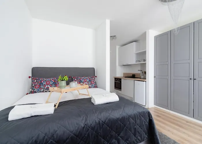 Elegant Pet-friendly In By Renters דירה קרקוב